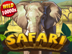 Safari icon