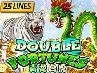 Double Fortunes thumbnail
