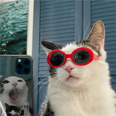 Akbar Tanjung avatar