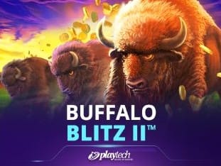 Buffalo Blitz II